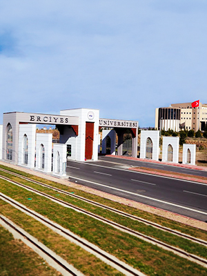 Service Image